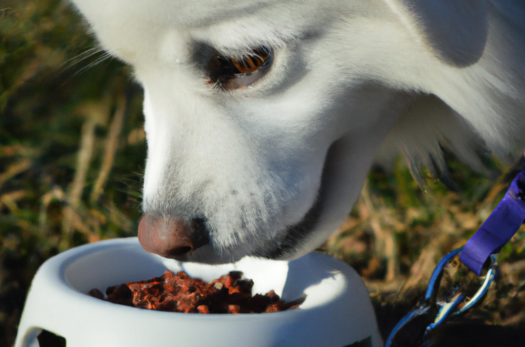 Hunde Feuchtfutter